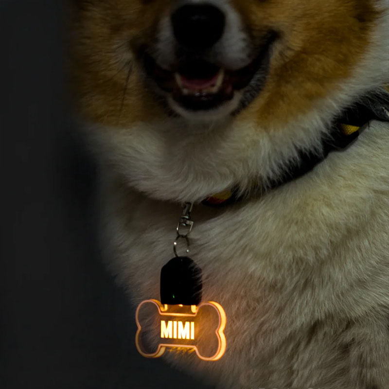 Personalized Paw and Bone Shaped LED Acrylic Dog Collar Tag with Name 7 Light Colors Dogs Safety Night Walking Camping Accessories for Pet Lovers