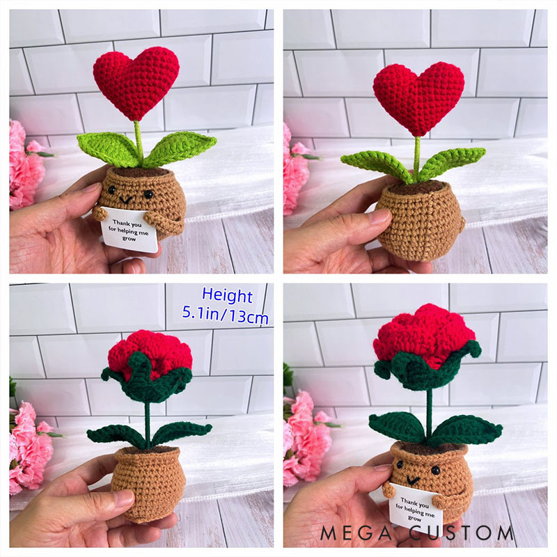 Personalized Adorable Crochet Plant Decor Custom Message Perfect Emotional Support Holiday Gift