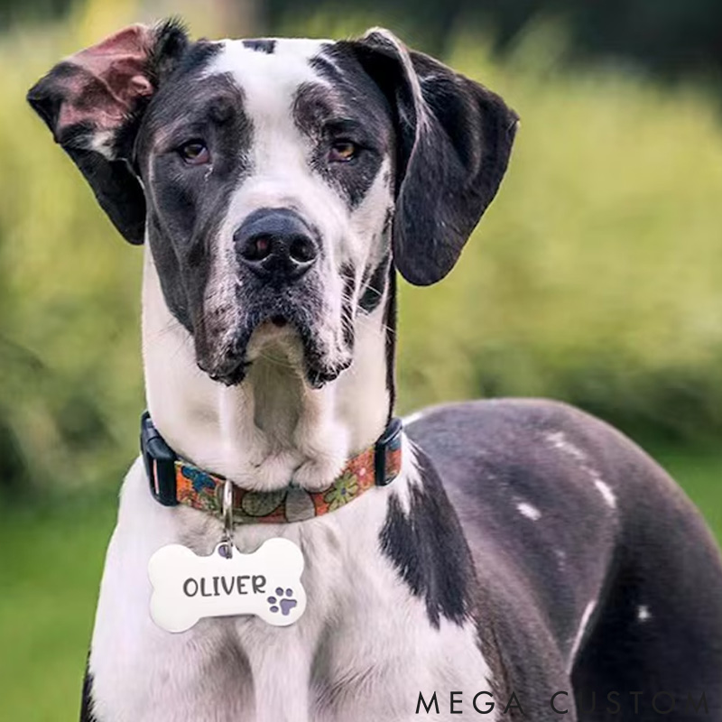 Personalized Cute Dog Tag Personalized for Dog Custom Bone Dog Tags Dog Name Tags Puppy Dog Tag Stainless Steel Pet ID Tag