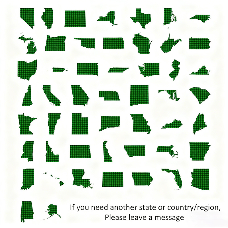 Personalized Long Distance Gift Pillow for Girlfriend Boyfriend Custom State and Photo Pillow Valentines Day Long Distance Gift