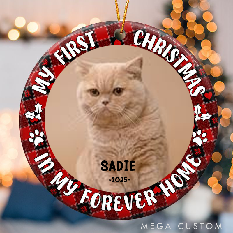 Personalized Pet Lover First Christmas Dog Cat Ornament