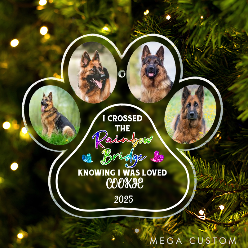 Personalized Pet Lover Crossed the Rainbow Bridge Pet Memorial Ornament
