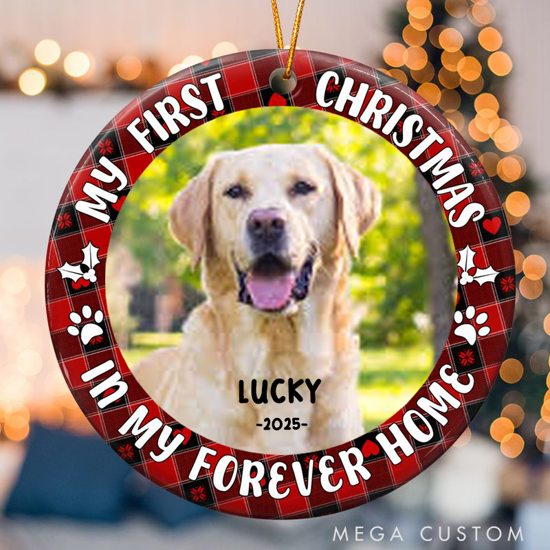 Personalized Pet Lover First Christmas Dog Cat Ornament