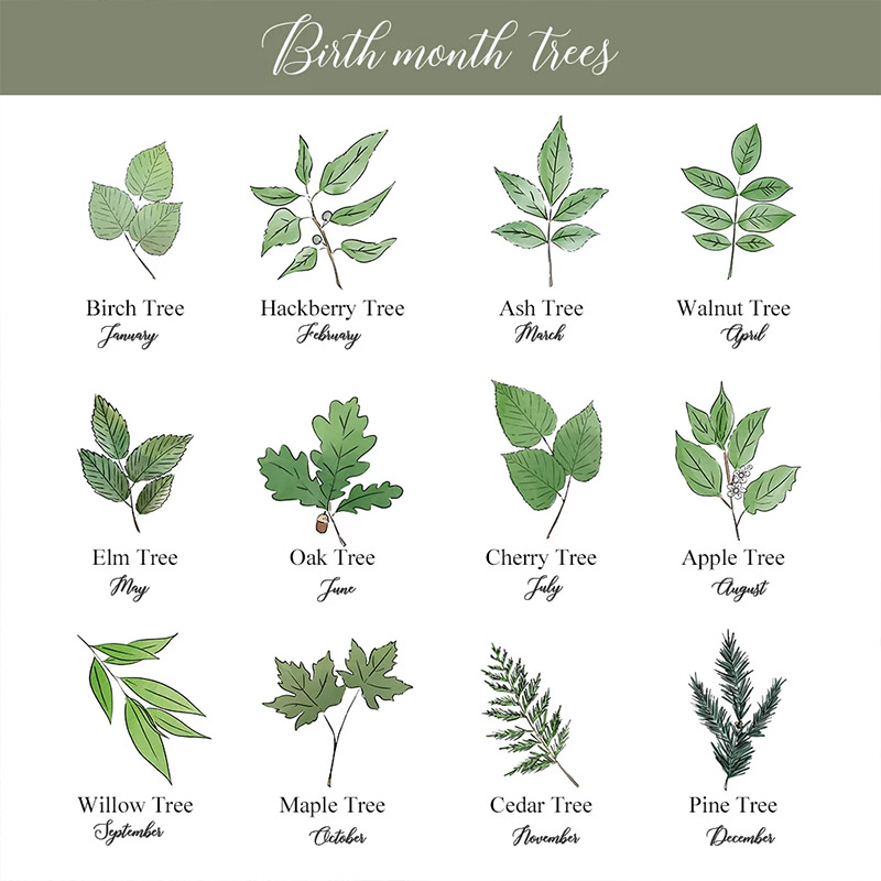 Personalized Couple Birth Flower and Birth Leaf Ring Blanket Newlyweds Name and Date Wedding Blanket Valentine's Day Gift for Husband Wife Hubby Wifey