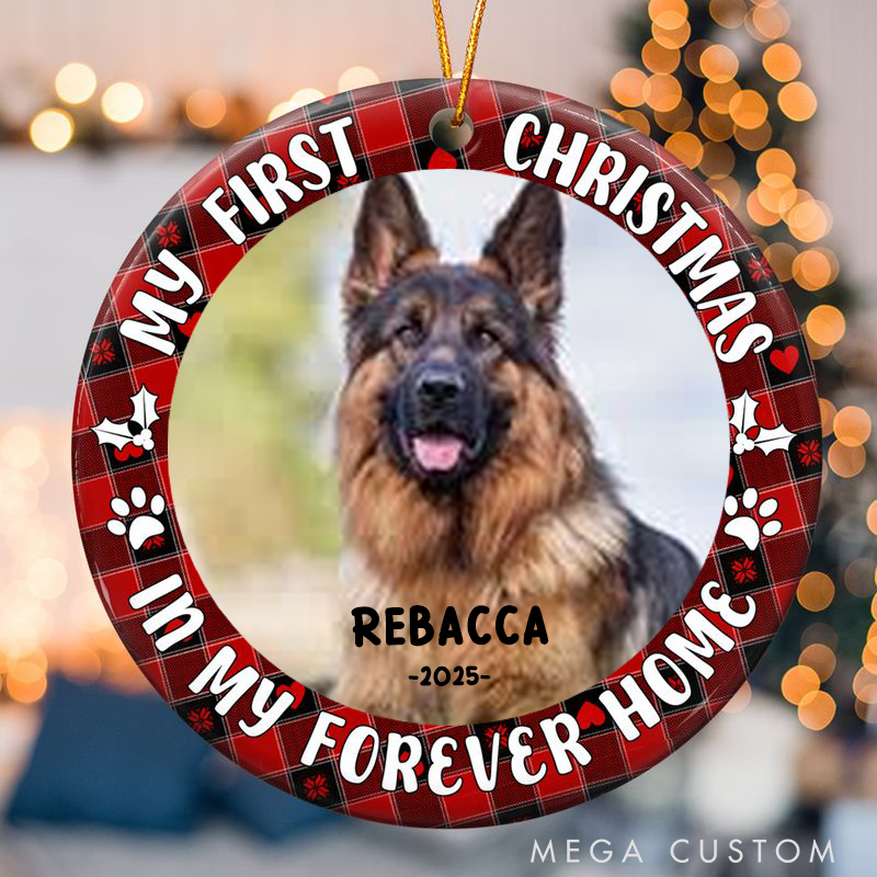 Personalized Pet Lover First Christmas Dog Cat Ornament