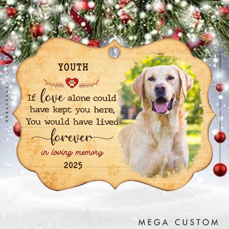 Personalized Pet Lover You were My Favorite Hello and My Hardest Goodbye Ornament