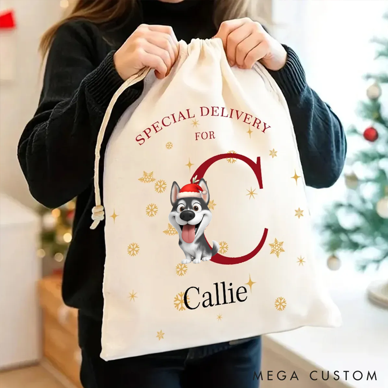 Personalized Dog Lover Christmas Theme Dog Pattern Christmas Sack