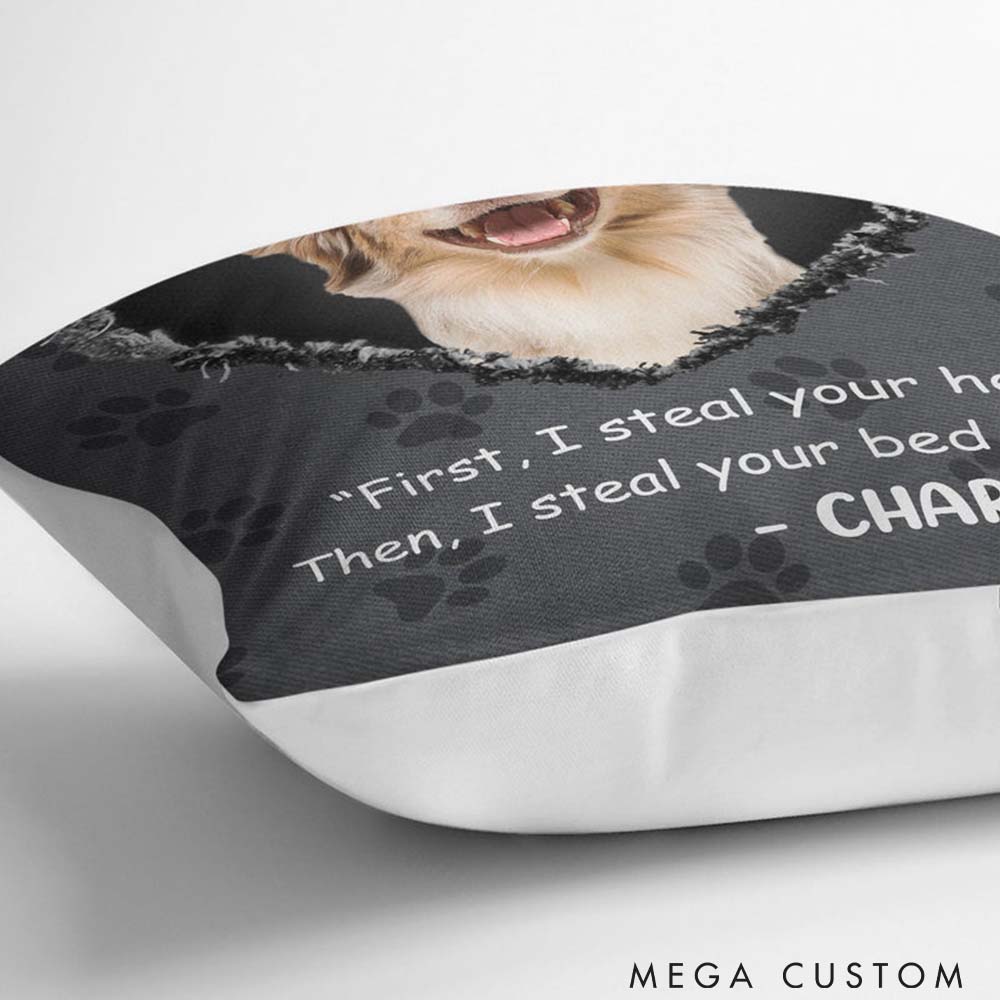 Personalized Pet Lover Custom Photo Pet Steal Your Heart Throw Pillows