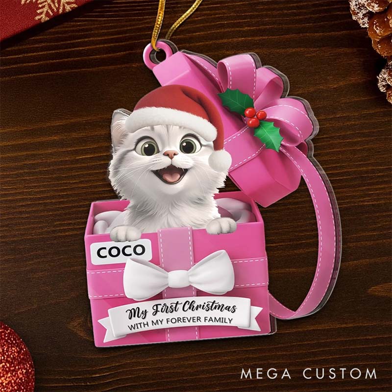 Personalized Pet Lover Our Furry little Gift Christmas Ornament 