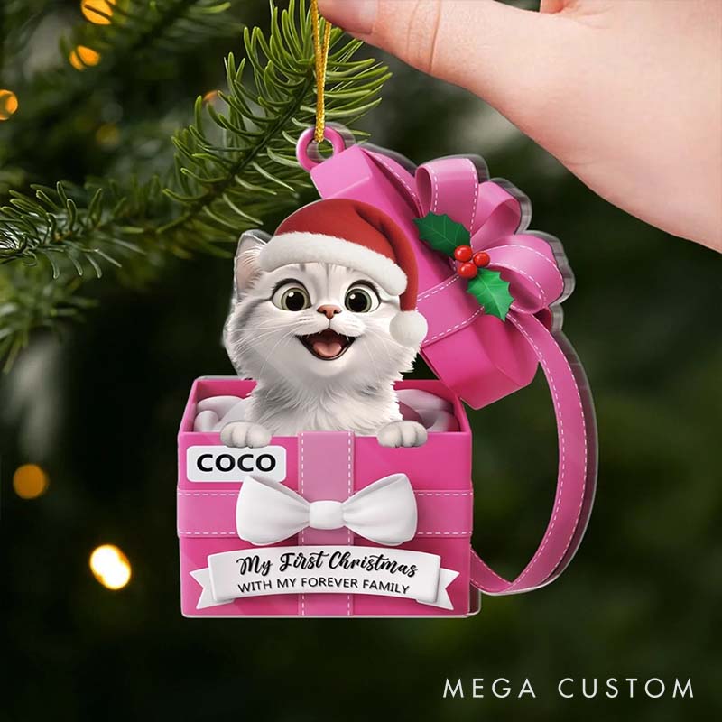 Personalized Pet Lover Our Furry little Gift Christmas Ornament 