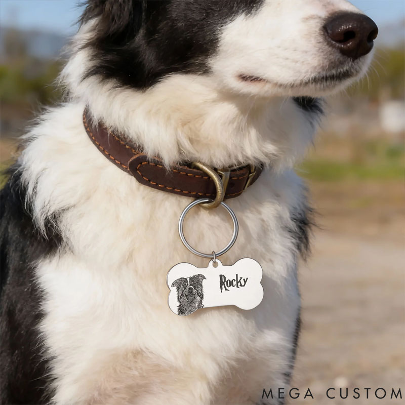Personalized Bone Shape Photo Design Pet Name Tag with Engraved Text Daily Use Birthday Gift for Dog Owners