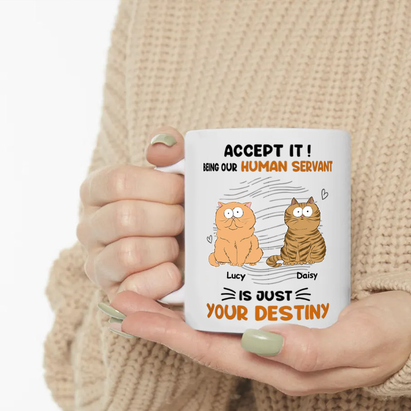 Personalized Cat Lover Accept It Mugs