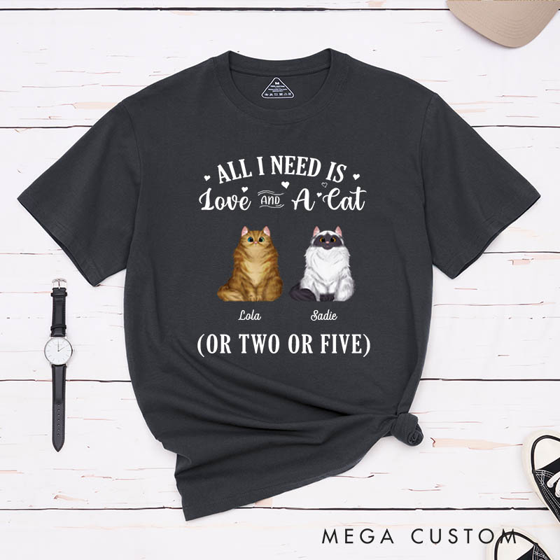 Personalized Cat Lover All I Need Is Love and Cat T-Shirt