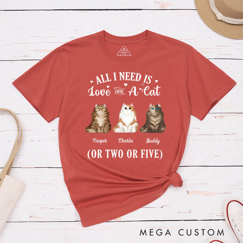 Personalized Cat Lover All I Need Is Love and Cat T-Shirt