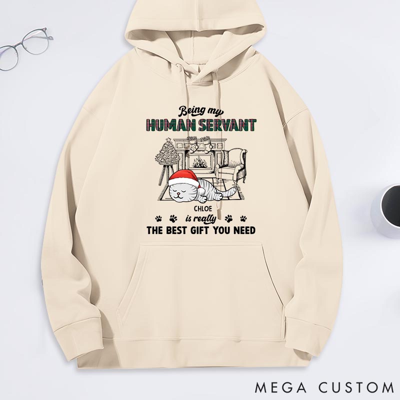 Personalized Cat Lover Best Gift You Need Classic Hoodies