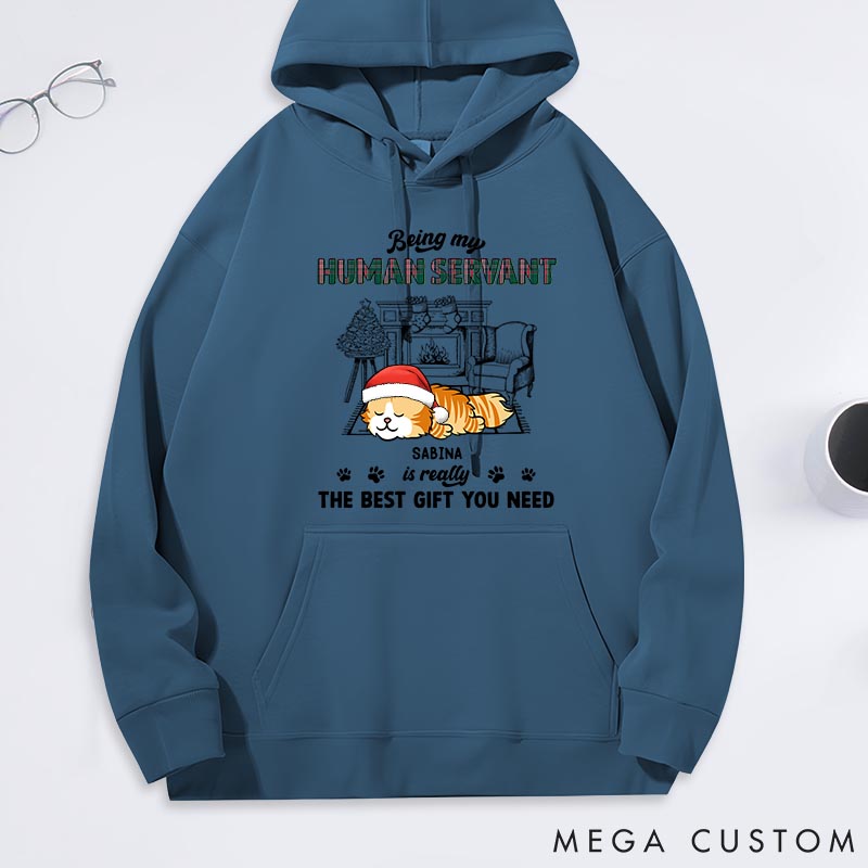 Personalized Cat Lover Best Gift You Need Classic Hoodies