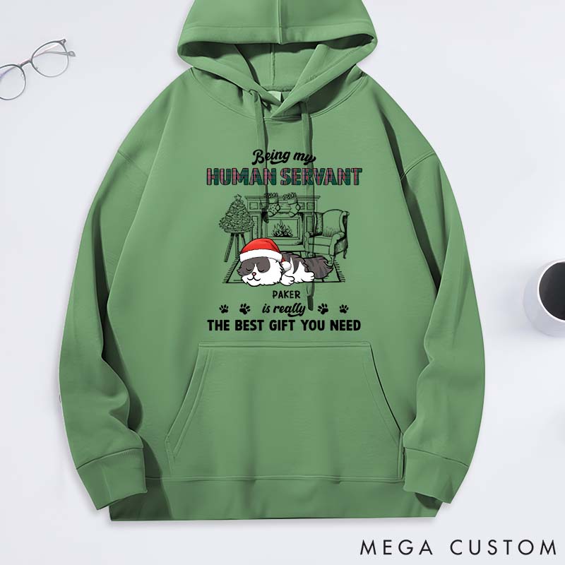 Personalized Cat Lover Best Gift You Need Classic Hoodies