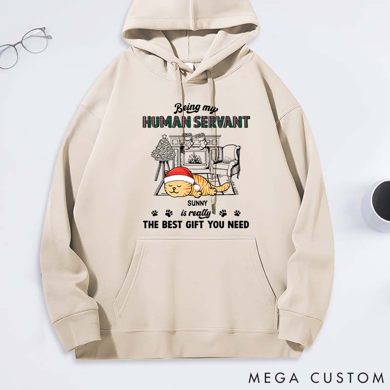 Personalized Cat Lover Best Gift You Need Classic Hoodies