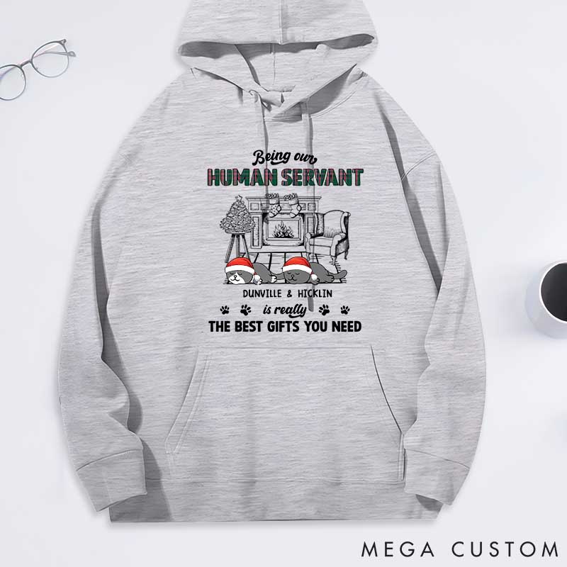 Personalized Cat Lover Best Gift You Need Classic Hoodies