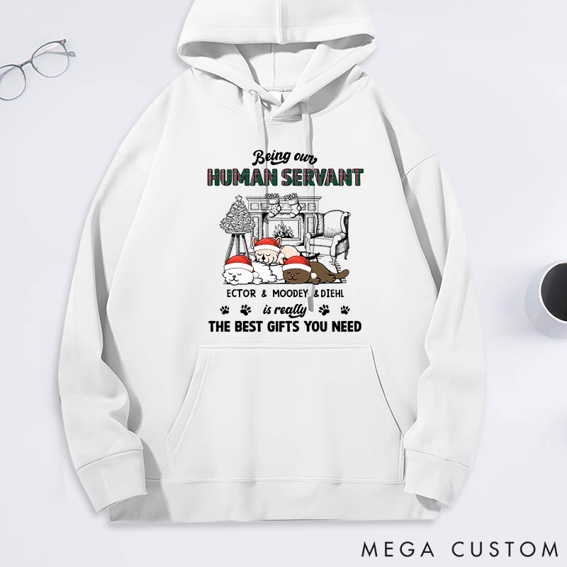 Personalized Cat Lover Best Gift You Need Classic Hoodies