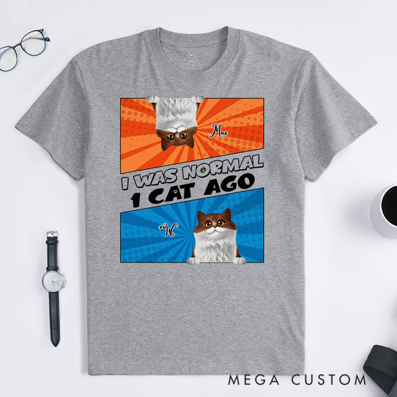 Personalized Cat Lover Comic Style I Was Normal 3 Cats Ago T-Shirt