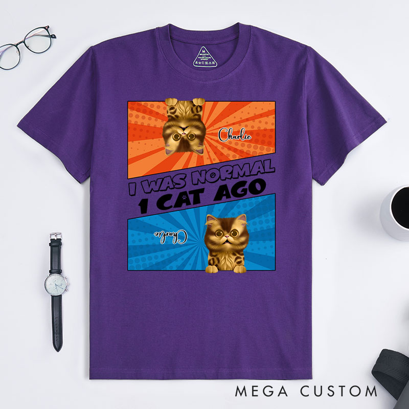 Personalized Cat Lover Comic Style I Was Normal 3 Cats Ago T-Shirt
