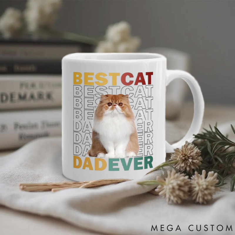 Personalized Cat Lover Custom Photo Best Cat Dad Mugs