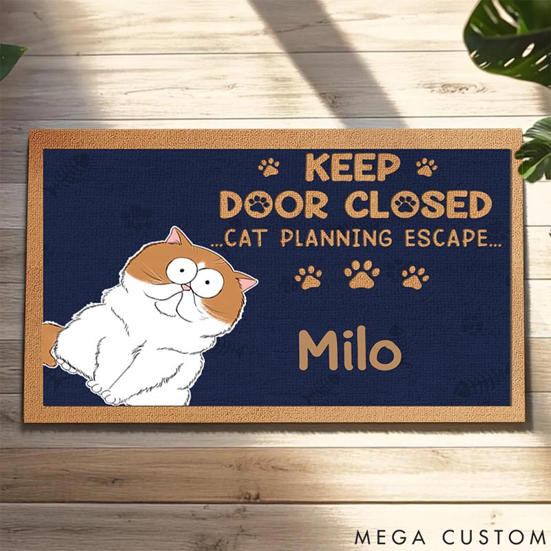 Personalized Cat Lover Don't Let the Cat Out No Matter What He Tells You Doormat