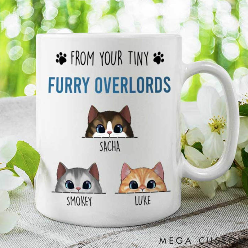 Personalized Cat Lover Happy Father's Day Human Servant Mugs