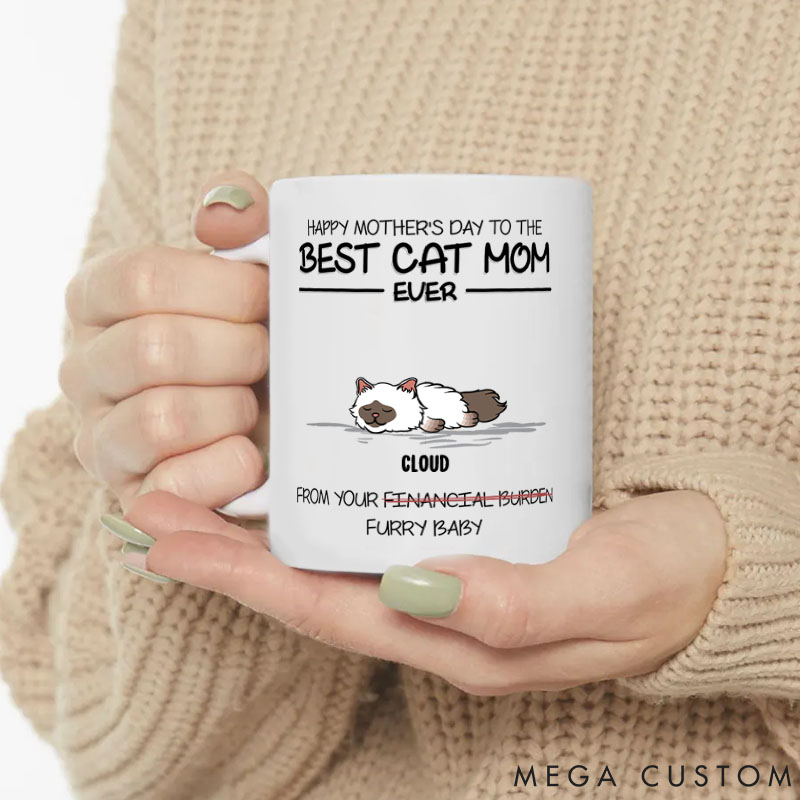 Personalized Cat Lover Happy Mother's Day to the Best Ever Mugs