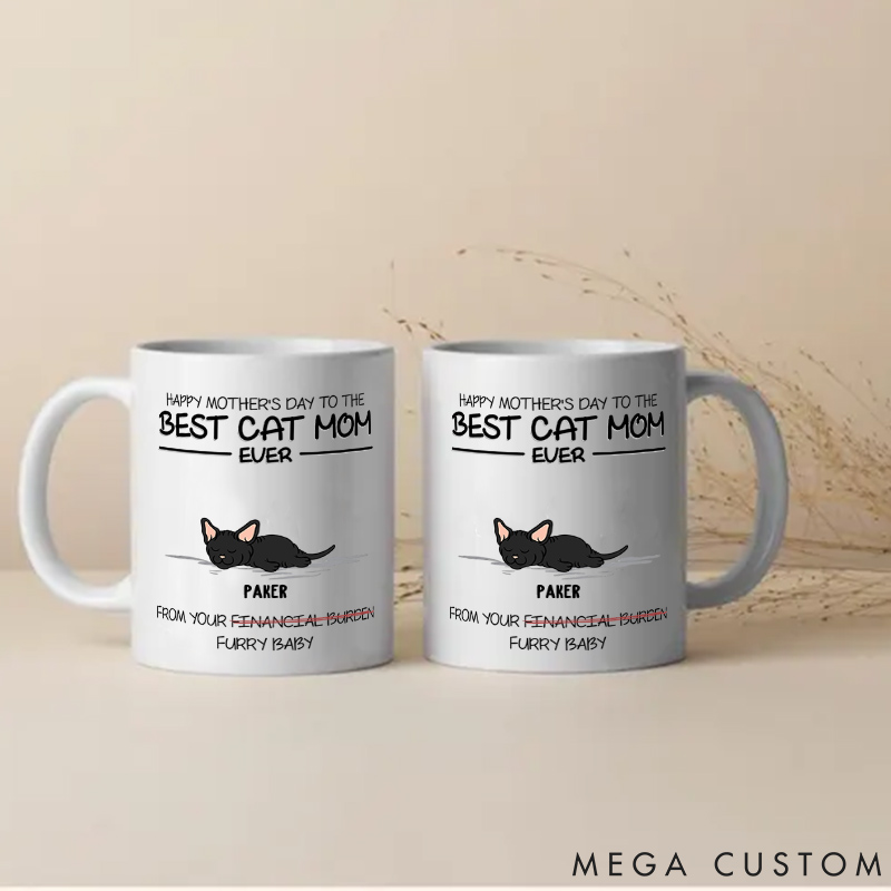 Personalized Cat Lover Happy Mother's Day to the Best Ever Mugs