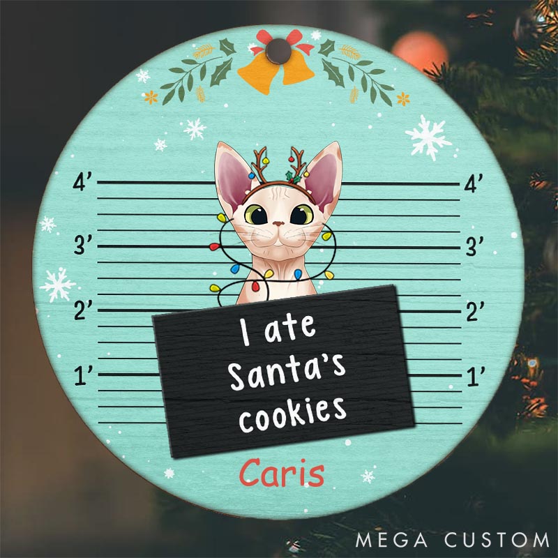 Personalized Cat Lover I Knocked Down the Christmas Tree Christmas Ornament