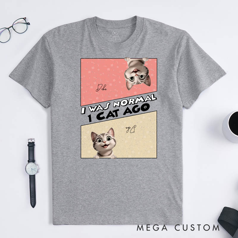 Personalized Cat Lover I was Normal 3 Cats Ago T-Shirt