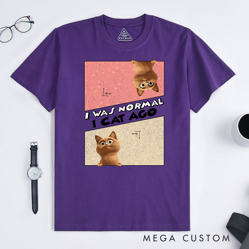 Personalized Cat Lover I was Normal 3 Cats Ago T-Shirt