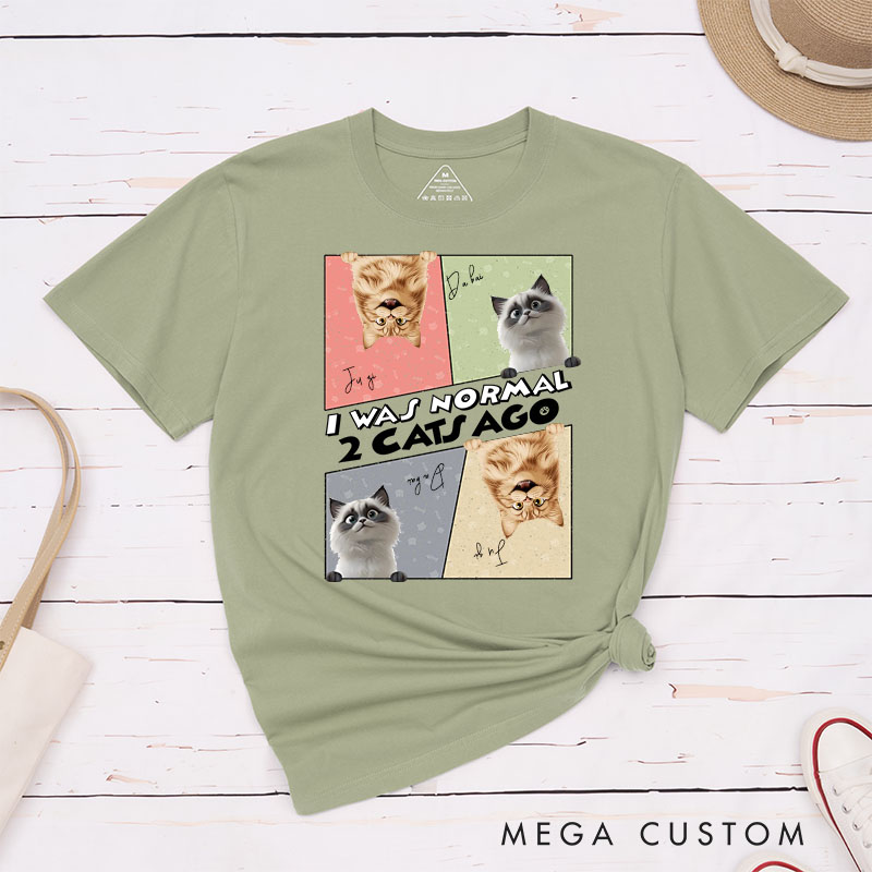 Personalized Cat Lover I was Normal 3 Cats Ago T-Shirt