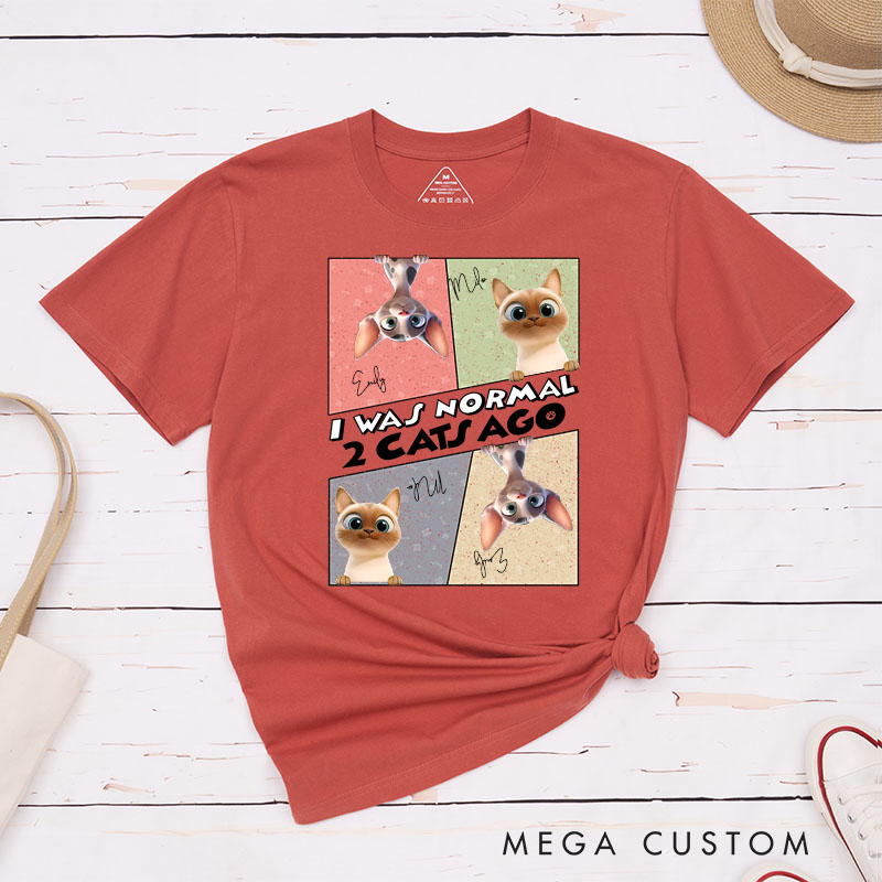 Personalized Cat Lover I was Normal 3 Cats Ago T-Shirt