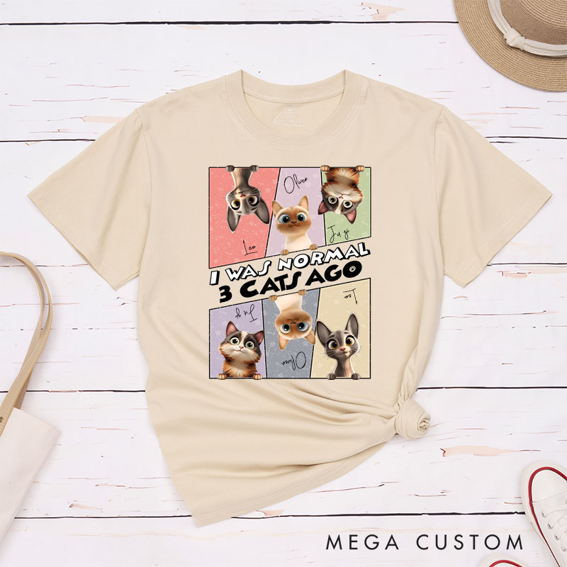 Personalized Cat Lover I was Normal 3 Cats Ago T-Shirt