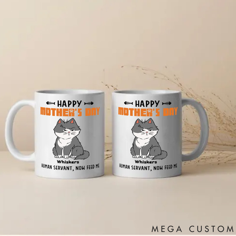 Personalized Cat Lover Mom Now Feed Me Mugs