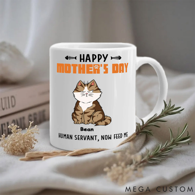 Personalized Cat Lover Mom Now Feed Me Mugs
