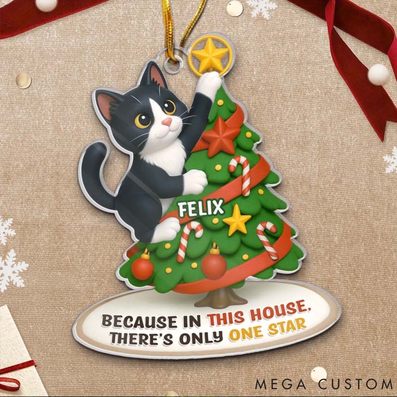Personalized Cat Lover Photo Acrylic Christmas Ornament