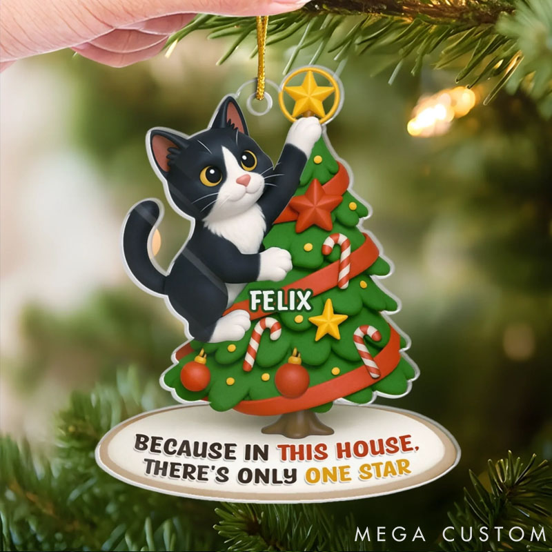 Personalized Cat Lover Photo Acrylic Christmas Ornament