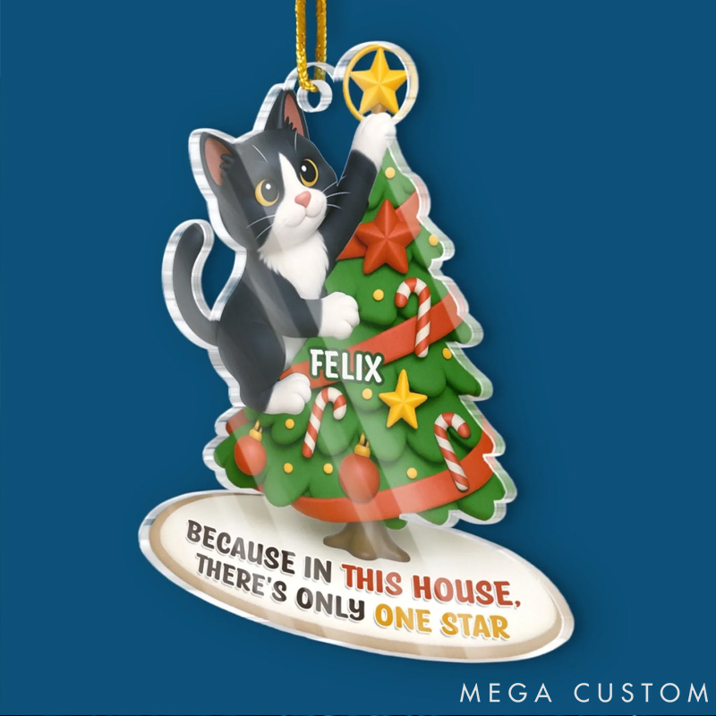 Personalized Cat Lover Photo Acrylic Christmas Ornament
