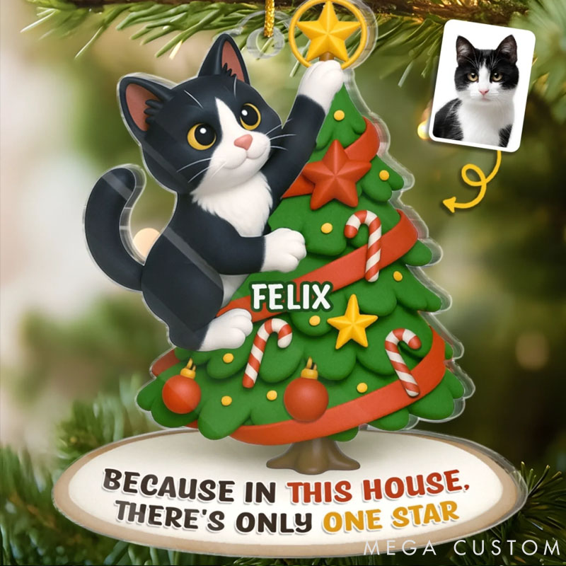 Personalized Cat Lover Photo Acrylic Christmas Ornament
