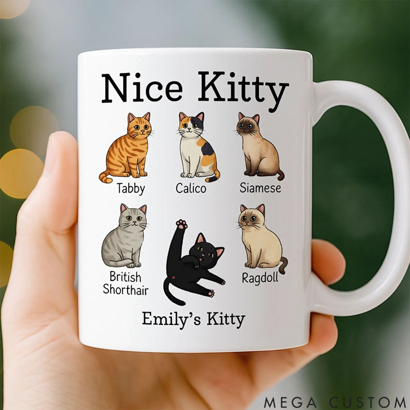 Personalized Cat Lover Purrfection Comes in Many Forms Mugs