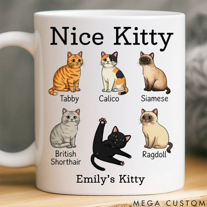 Personalized Cat Lover Purrfection Comes in Many Forms Mugs