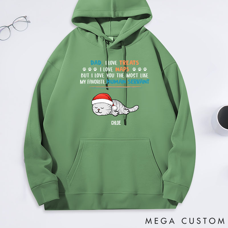 Personalized Cat Lover Treats Naps Servant Cat Dad Classic Hoodies