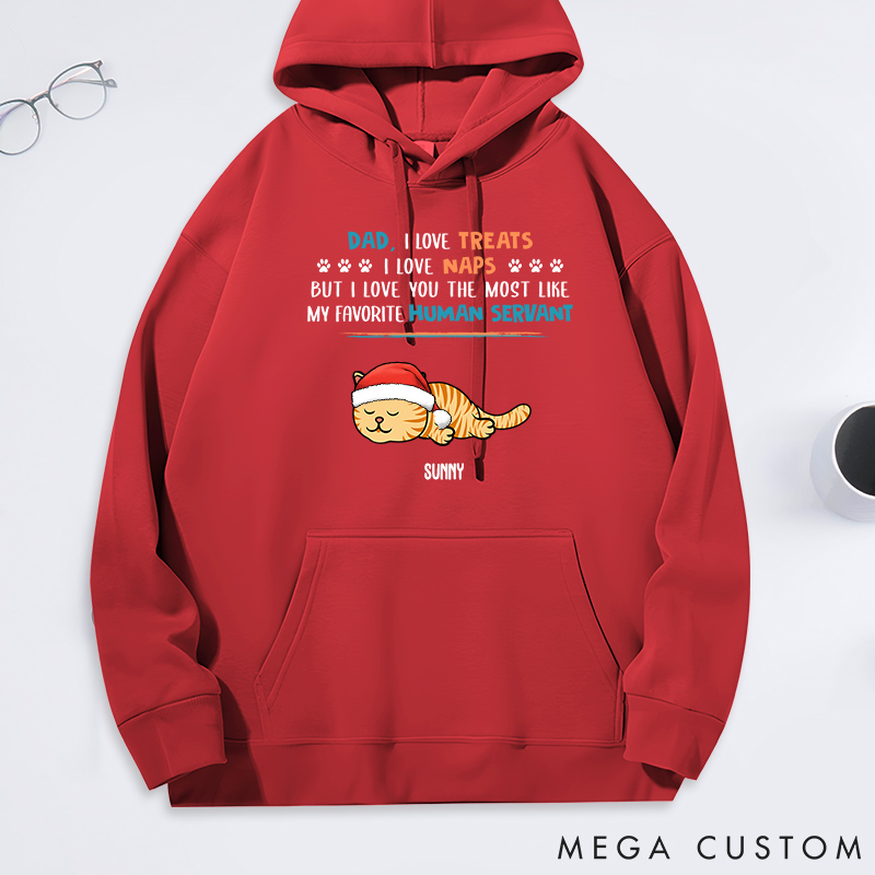 Personalized Cat Lover Treats Naps Servant Cat Dad Classic Hoodies