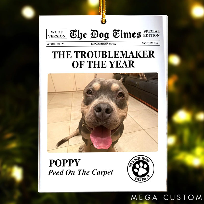 Personalized Cat Lover Troublemaker of the Year Christmas Ornament