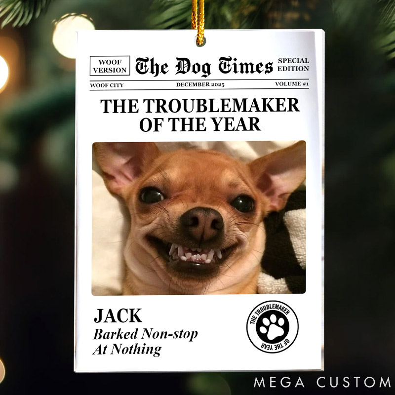 Personalized Cat Lover Troublemaker of the Year Christmas Ornament