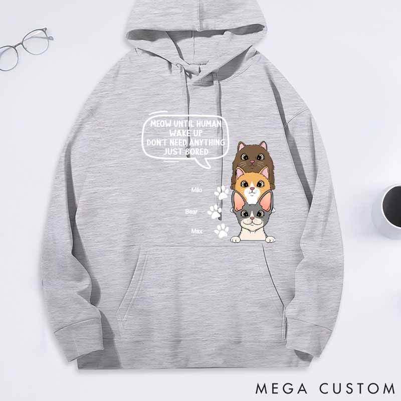 Personalized Cat Lover Until Human Wake Up Classic Hoodies